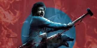 leo vijay