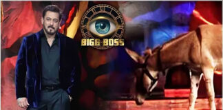 Bigg Boss Show