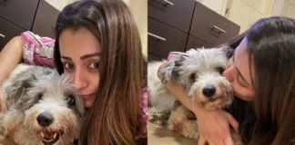Actress Trisha