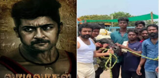 Actor Suriya