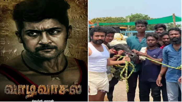 Actor Suriya