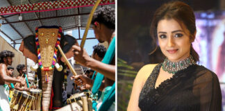 Actress Trisha