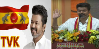 Actor Vijay