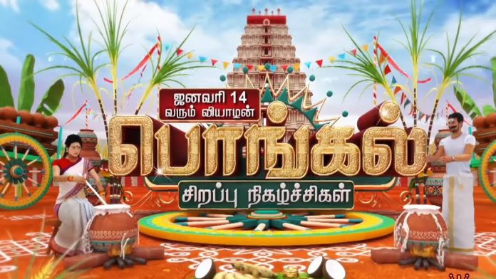 Pongal festival