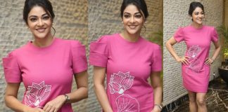 Actress Abhirami