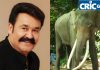 Actor Mohanlal