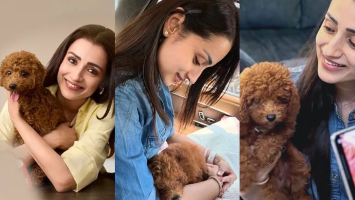 Actress Trisha